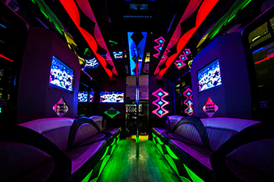 30 passenger party bus interior